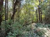 115 Campground Lane - Photo 12