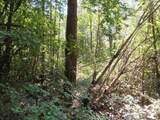 115 Campground Lane - Photo 15