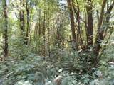 115 Campground Lane - Photo 16