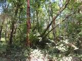 115 Campground Lane - Photo 18