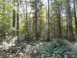 115 Campground Lane - Photo 4