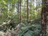 115 Campground Lane - Photo 5