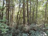 115 Campground Lane - Photo 6