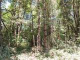 115 Campground Lane - Photo 7