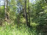 115 Campground Lane - Photo 9