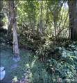 26784 Washington Boulevard - Photo 4