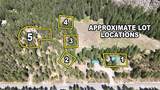 226 Lost River Road - Photo 12