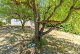 297 Washington Avenue - Photo 35