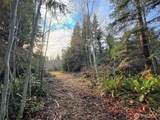 0 NKA Bagley Creek Road - Photo 19