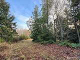 0 NKA Bagley Creek Road - Photo 20