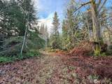 0 NKA Bagley Creek Road - Photo 21