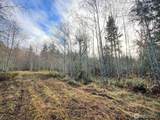 0 NKA Bagley Creek Road - Photo 23