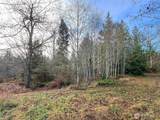 0 NKA Bagley Creek Road - Photo 28