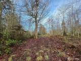 0 NKA Bagley Creek Road - Photo 29