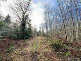 0 NKA Bagley Creek Road - Photo 31