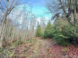 0 NKA Bagley Creek Road - Photo 33