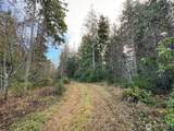 0 NKA Bagley Creek Road - Photo 37