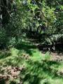 85 xx 364th Avenue - Photo 22