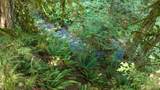 0 Robinson Road - Photo 3