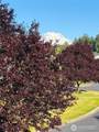 18502 94th Avenue - Photo 30