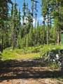 61 Rone Road - Photo 15