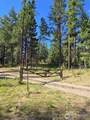 61 Rone Road - Photo 21