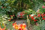 13123 Phelps Road - Photo 35