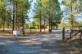 155 Tamarack Road - Photo 28