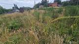 26 xx Oregon (Lot C Of Short Plat) Avenue - Photo 15