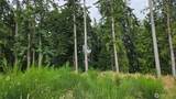 26 xx Oregon (Lot C Of Short Plat) Avenue - Photo 17