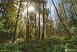 0 County Line Road - Photo 11