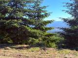 2497 China Garden Road - Photo 6