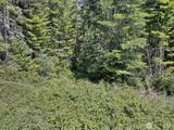 0 Eagle Creek Lane - Photo 11