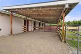 10407 Evergreen Valley Road - Photo 31