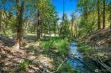 10547 Merry Canyon Road - Photo 5
