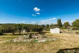479 Elderberry Street - Photo 31