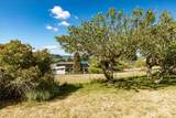 479 Elderberry Street - Photo 32