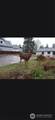 30506 Place - Photo 12