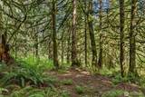 12500 60th Street - Photo 34