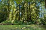 22932 River Drive - Photo 7