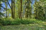 22932 River Drive - Photo 9