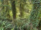 0 Renton Issaquah Road - Photo 4