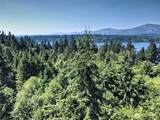 221 Little Nahwatzel Drive - Photo 4