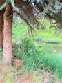 3111 28th St Ct - Photo 4