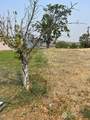0 nna Foster Creek Avenue - Photo 24