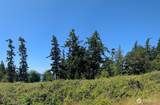 4343 (appx) Camano Drive - Photo 3