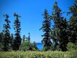 4343 (appx) Camano Drive - Photo 8