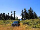 4343 (appx) Camano Drive - Photo 9