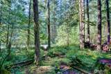 5 2 Wilderness Way - Photo 25