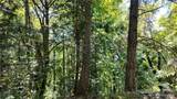 0 Oyster Creek Lane - Photo 15